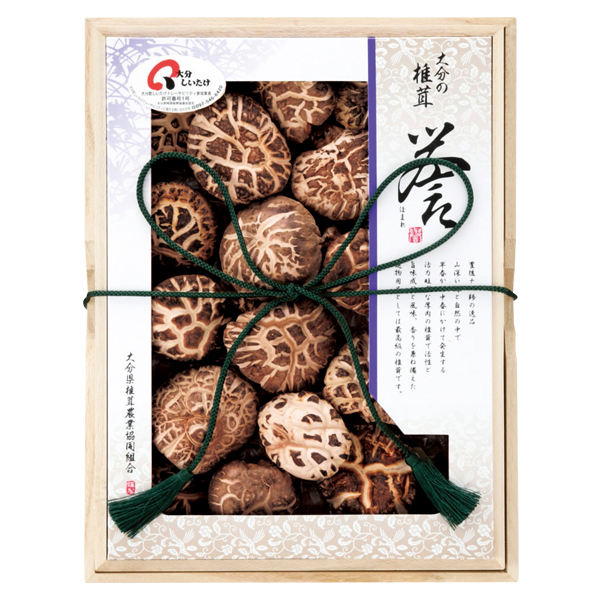 啪ő_Ƌg 啪Yő ԓ~(ǂ) _ (_-50)